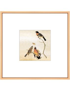 8x8 Inch Gold Metal Square Photo Frame With HD Glass (46)